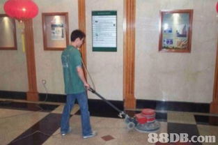 搬運(yùn)服務(wù)的搜尋結(jié)果 清潔服務(wù) 滅鼠 地氈清洗 家居清潔 殺蟲 滅蚤 滅白蟻 滅蟻 裝修清潔 滅蟲服務(wù) 清潔服務(wù) 滅鼠 地氈清洗 家居清潔 殺蟲 滅蚤 滅白蟻